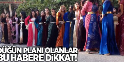 Kürt düğünlerinin vazgeçilmezi halay için kötü haber!