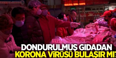 Dondurulmuş gıdadan korona virüsü bulaşır mı?
