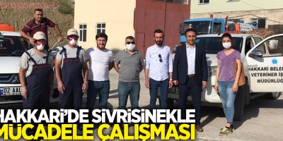 Hakkari’de sivrisinekle mücadele çalışması