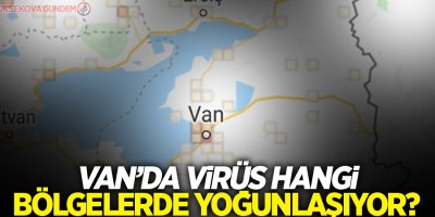 Van'da Covid-19 vakaları bu bölgede yoğunlaşıyor!