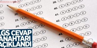 LGS soru kitapçığı ve cevap anahtarı Milli Eğitim Bakanlığının internet sitesinde yayınlandı