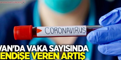 Van'da vaka sayısında endişe veren artış
