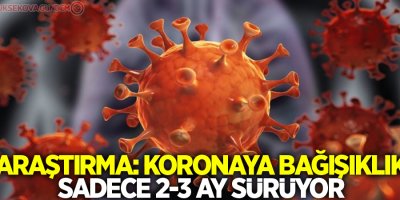 Araştırma: Koronaya bağışıklık sadece 2-3 ay sürüyor