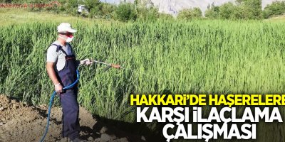 Hakkari’de haşerelere karşı ilaçlama çalışması