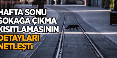 Sokağa çıkma kısıtlamasının detayları netleşti!