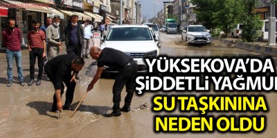 Yüksekova'da şiddetli yağmur su taşkınına neden oldu!