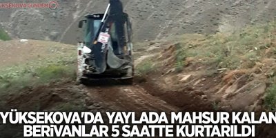Yüksekova'da yaylada mahsur kalan berivanlar 5 saatte kurtarıldı