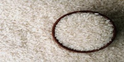 ABD'nin yemediği pirinci Türkler satacak