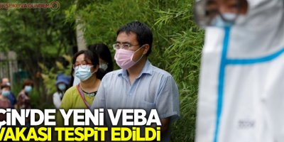 Çin'de yeni veba vakası tespit edildi