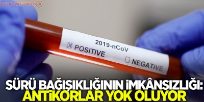 Sürü bağışıklığının imkânsızlığı: Antikorlar yok oluyor