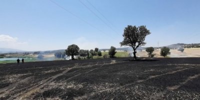 Uşak'ta korkutan yangın