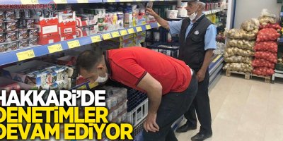 Hakkari’de korona virüs denetimleri sürüyor