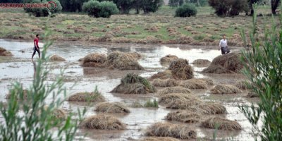 Yüksekova'da sel felaketi: 10 bin bağ ot ve bahçeler zarar gördü