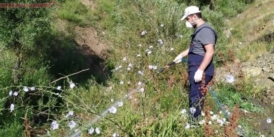 Hakkari Belediyesinden larvasit ilaçlama çalışması