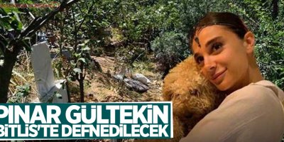 Pınar Gültekin Bitlis'te defnedilecek