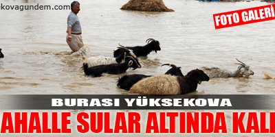 Yüksekova Sular Altında Kaldı