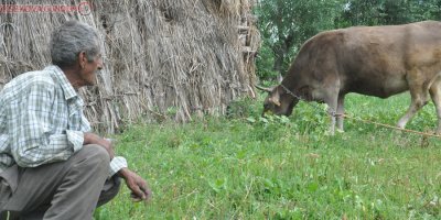 Mehmet Amca bu bayram çok mutlu