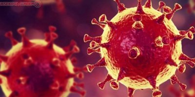 Azerbaycan'da Covid-19 vaka sayısı 32 bini aştı