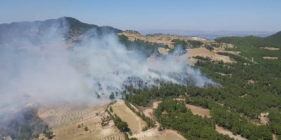 Denizli'de gece saatlerinde başlayan yangına müdahale devam ediyor