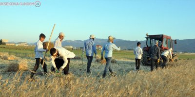 Kavurucu sıcakta kış hazırlığı