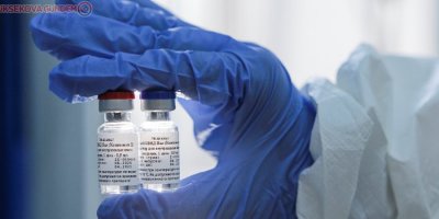 Aşıyı eleştiren Rus profesör etik kurulundan istifa etti