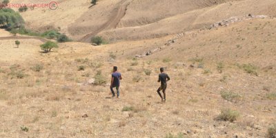 Tek geçim kaynakları olan koyunlarını arıyorlar