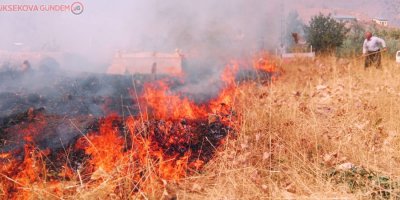 Şemdinli'de korkutan yangın