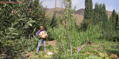 Hakkari’de 45 kiloluk bal kabağı yetiştirildi