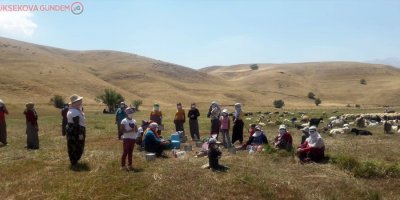 Yüksekovalı muhtardan örnek davranış