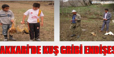 Hakkari'de kuş gribi endişesi