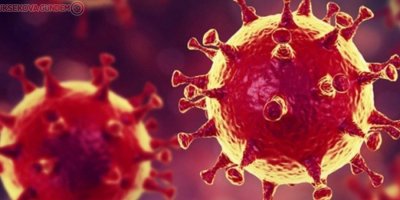 Azerbaycan'da 162 yeni korona virüs vakası tespit edildi