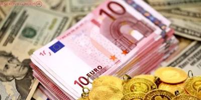 Dolar ve Euro rekor tazeledi