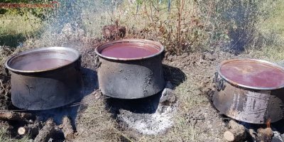 Çukurca’da doğal üzüm pekmezinin yapılmasına başlandı