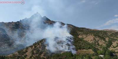 Şemdinli’de orman yangını