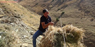 Teleferikle ot indirirken az daha canından oluyordu