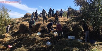 Yüksekova'da çıkan yangında 4 bin 500 bağ ot yandı