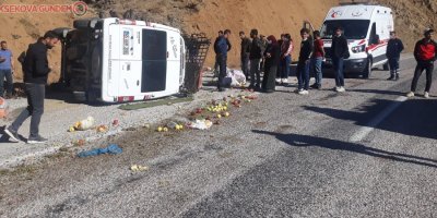 Minibüs yoldan çıktı: 5 yaralı