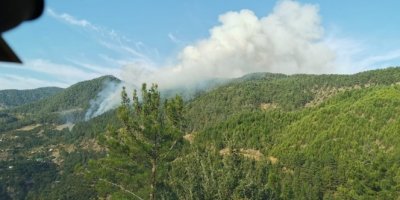 Mersin'de orman yangını