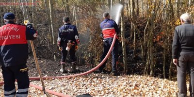 Hakkari’de orman yangını