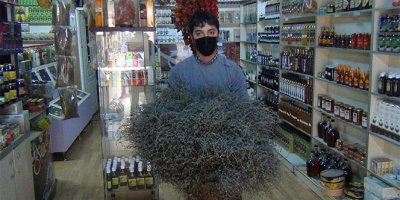 Korona kekiğe ilgiyi artırdı