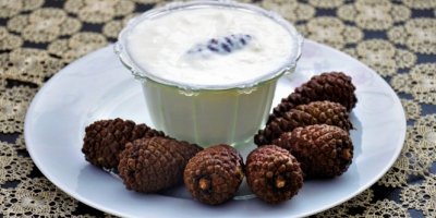Dağdan topladığı çam kozalaklarıyla yoğurt yapıyor