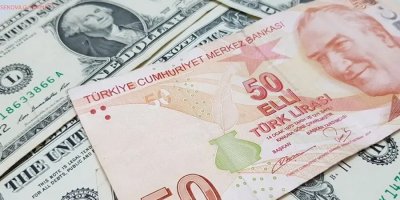 Dolar yeniden yükselişe geçti