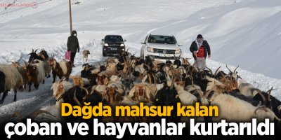 Dağda mahsur kalan çoban ve hayvanlar kurtarıldı