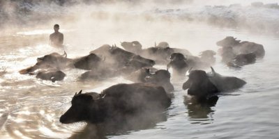 Mandaların buz gibi havada kaplıca keyfi