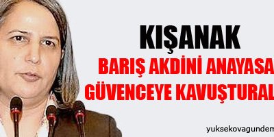 Kışanak: Hükümet Üstüne Düşeni Yapmalı