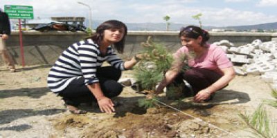 Solin bebek parkı yeşilleniyor