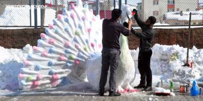 Yüksekova’da 'kardan tavus kuşu’ büyük ilgi gördü