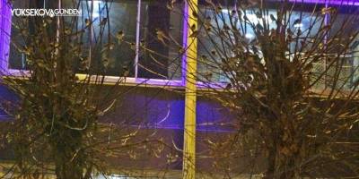 Göçmen kuşlar Yüksekova'da mola verdi