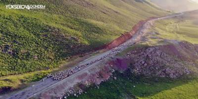 Yüksekova'da göçerlerin zorlu yayla yolculuğu