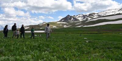 Alman turistler Hakkari'de Berçelan Yaylası’nı gezdi